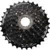 Cassette SHIMANO Tourney 8v CS-HG200-8 12-32T