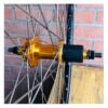 Roue Arrière Custom SeBike 29 Pouces 10v - Wheeling Bike -Vélo Soldes Magasin roue arriere custom sebike 29 pouces 10v wheeling bike