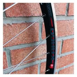 Roue Arrière Custom SeBike 29 Pouces 10v - Wheeling Bike -Vélo Soldes Magasin roue arriere custom sebike 29 pouces 10v wheeling bike 4